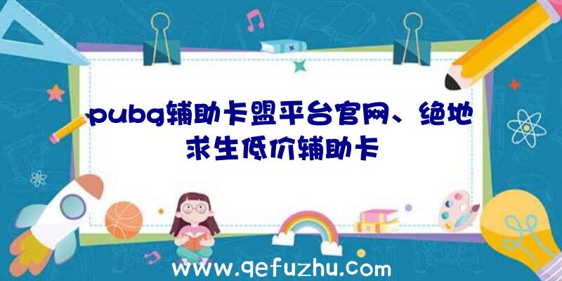 pubg辅助卡盟平台官网、绝地求生低价辅助卡