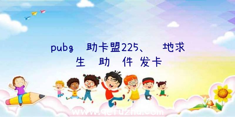 pubg辅助卡盟225、绝地求生辅助软件