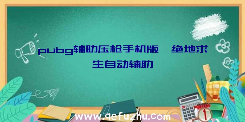 pubg辅助压枪手机版、绝地求生自动辅助