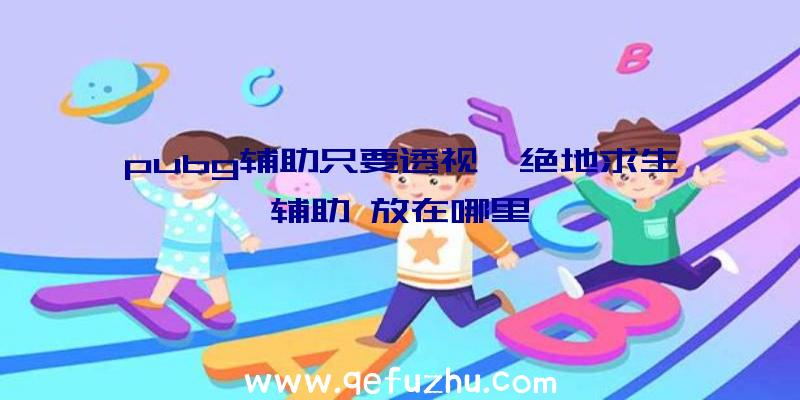 pubg辅助只要透视、绝地求生辅助