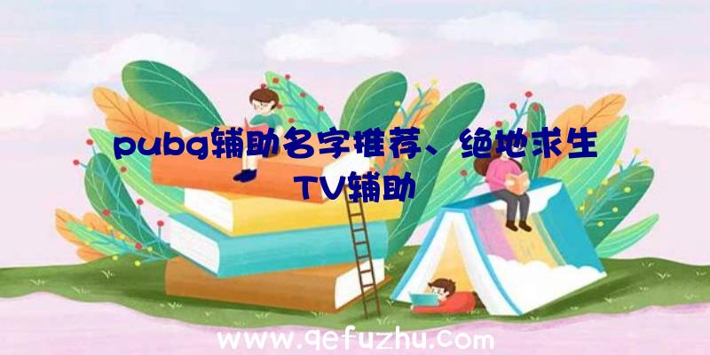 pubg辅助名字推荐、绝地求生TV辅助