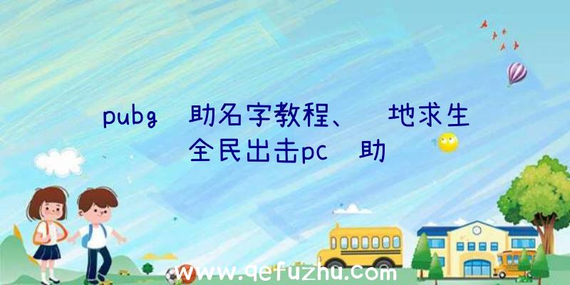 pubg辅助名字教程、绝地求生全民出击pc辅助