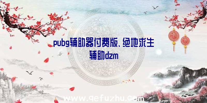 pubg辅助器付费版、绝地求生辅助dzm