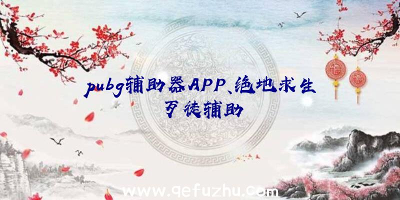 pubg辅助器APP、绝地求生歹徒辅助