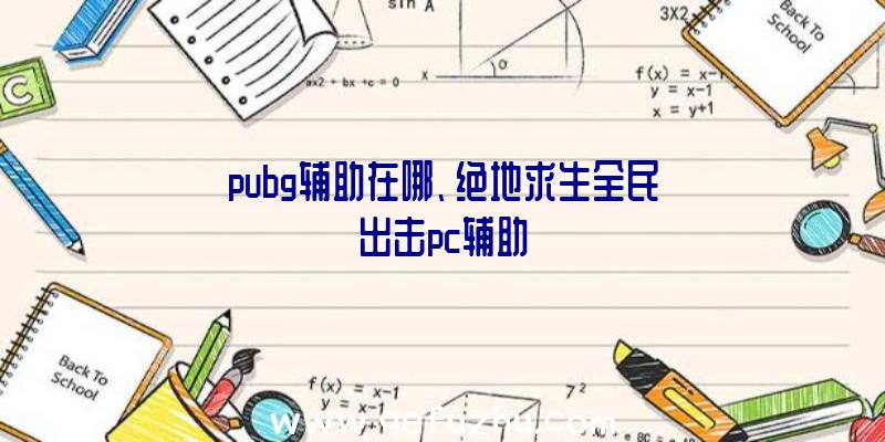 pubg辅助在哪、绝地求生全民出击pc辅助