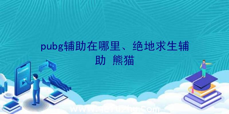 pubg辅助在哪里、绝地求生辅助