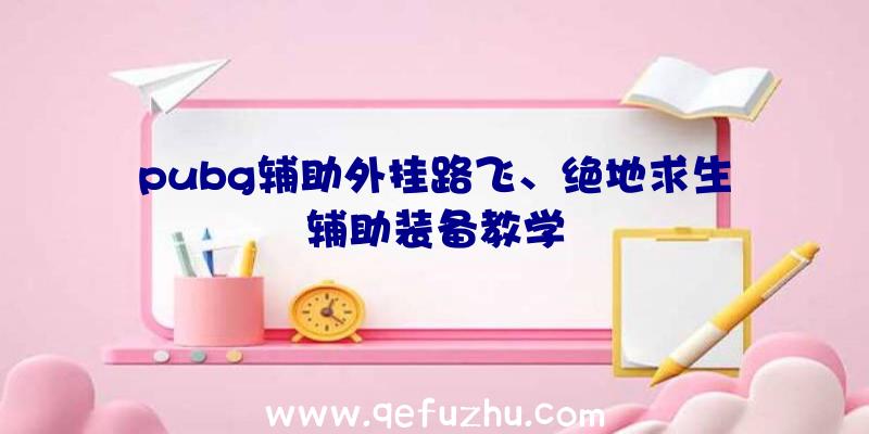 pubg辅助外挂路飞、绝地求生辅助装备教学