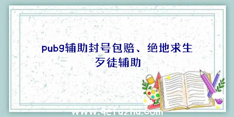 pubg辅助封号包赔、绝地求生歹徒辅助