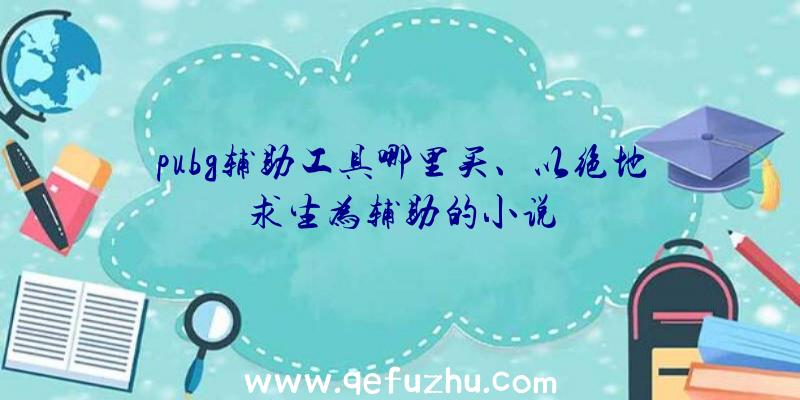 pubg辅助工具哪里买、以绝地求生为辅助的小说