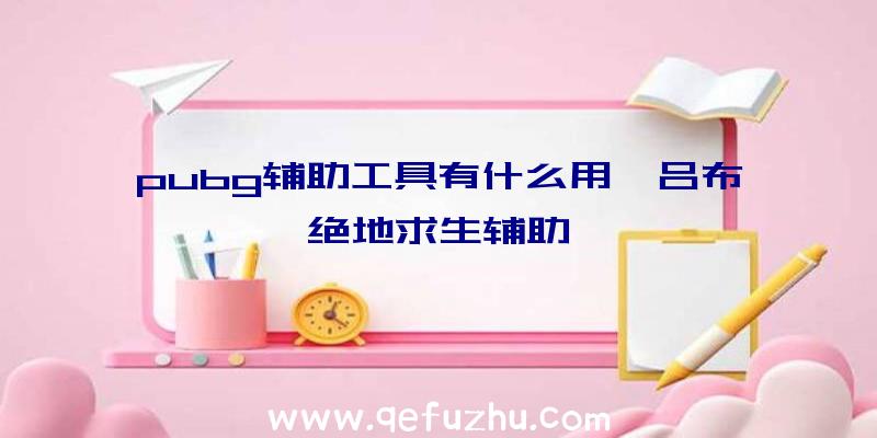 pubg辅助工具有什么用、吕布绝地求生辅助