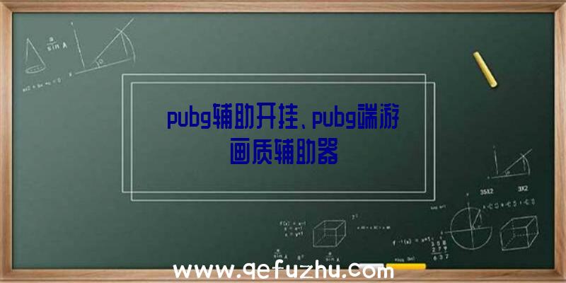 pubg辅助开挂、pubg端游画质辅助器