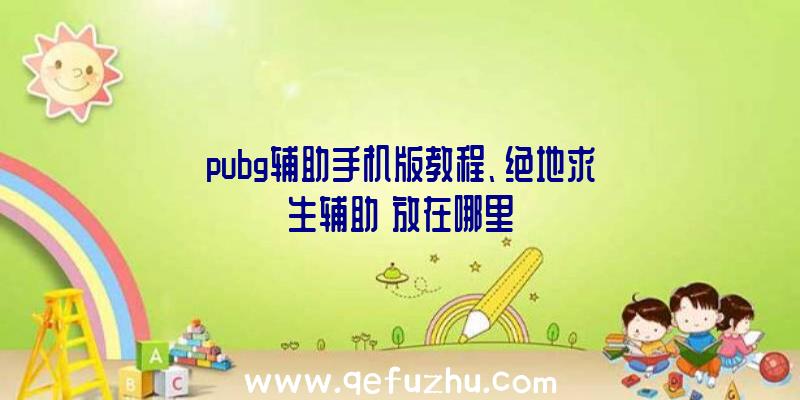 pubg辅助手机版教程、绝地求生辅助