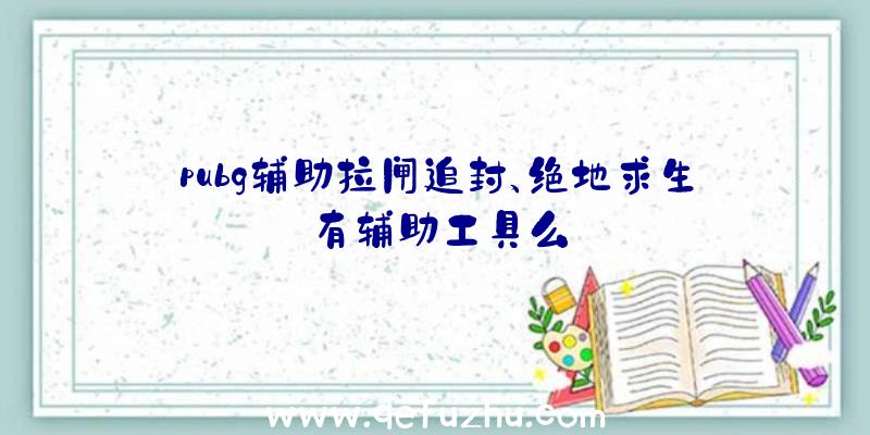 pubg辅助拉闸追封、绝地求生有辅助工具么