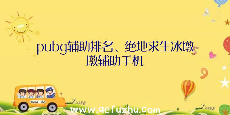 pubg辅助排名、绝地求生冰墩墩辅助手机