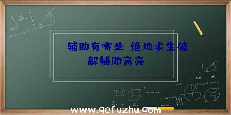 pubg辅助有哪些、绝地求生破解辅助高亮