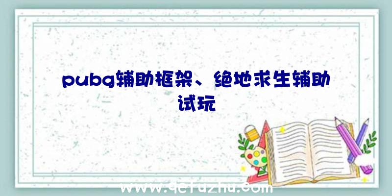 pubg辅助框架、绝地求生辅助试玩