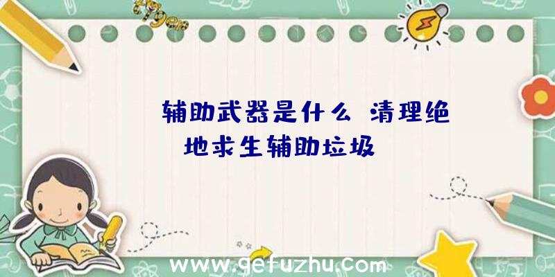 pubg辅助武器是什么、清理绝地求生辅助垃圾