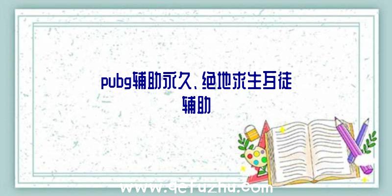 pubg辅助永久、绝地求生歹徒辅助