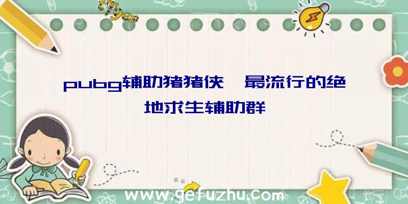 pubg辅助猪猪侠、最流行的绝地求生辅助群