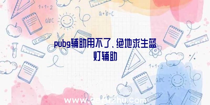 pubg辅助用不了、绝地求生蓝灯辅助