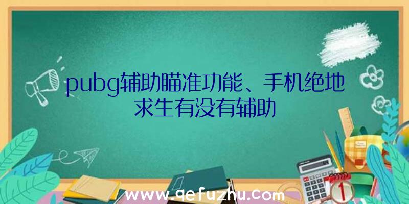 pubg辅助瞄准功能、手机绝地求生有没有辅助