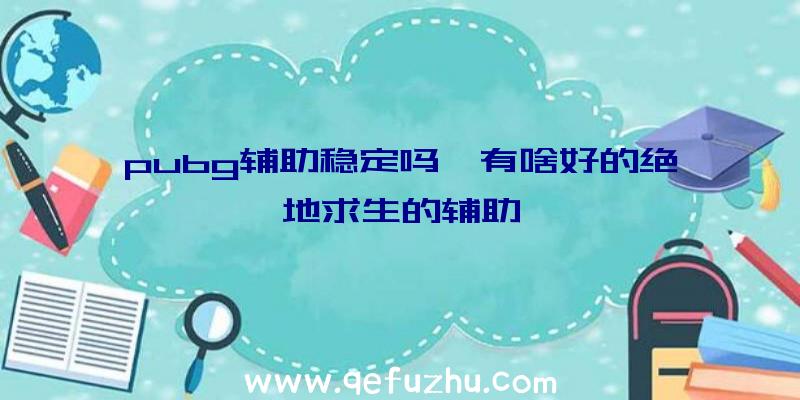 pubg辅助稳定吗、有啥好的绝地求生的辅助