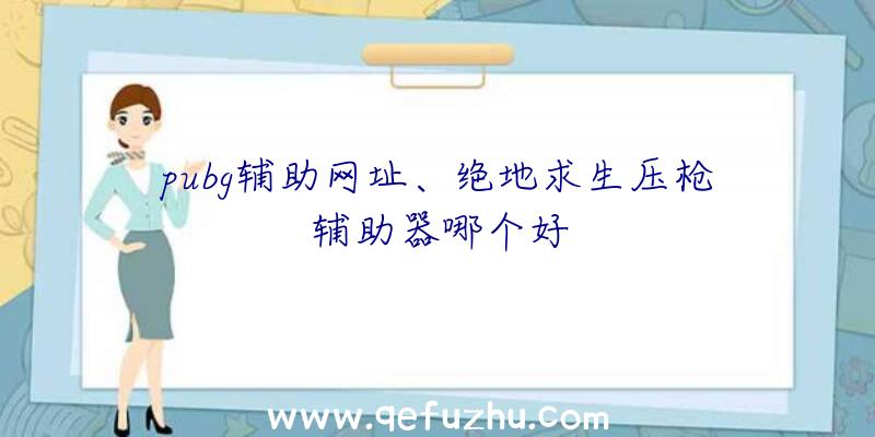 pubg辅助网址、绝地求生压枪辅助器哪个好