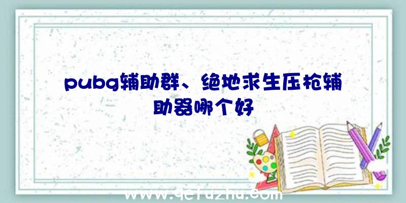 pubg辅助群、绝地求生压枪辅助器哪个好