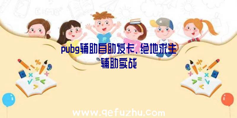 pubg辅助自助发卡、绝地求生辅助实战