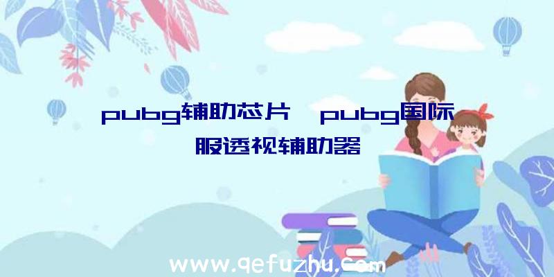 pubg辅助芯片、pubg国际服透视辅助器