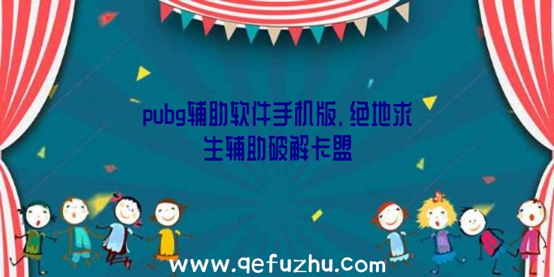 pubg辅助软件手机版、绝地求生辅助破解卡盟