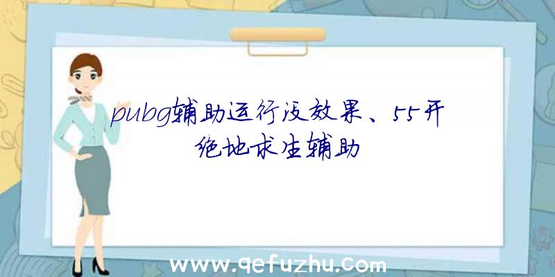 pubg辅助运行没效果、55开绝地求生辅助