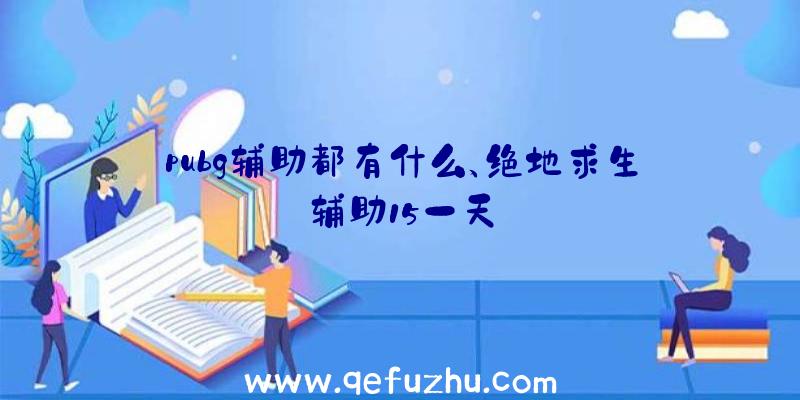 pubg辅助都有什么、绝地求生辅助15一天