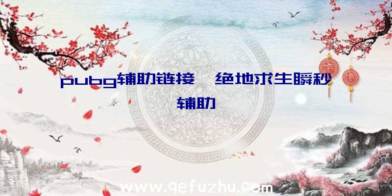 pubg辅助链接、绝地求生瞬秒辅助