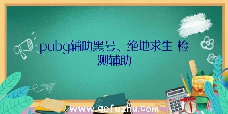 pubg辅助黑号、绝地求生