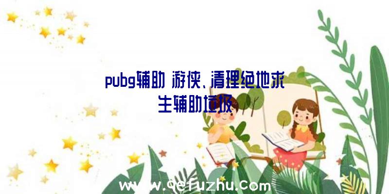 pubg辅助