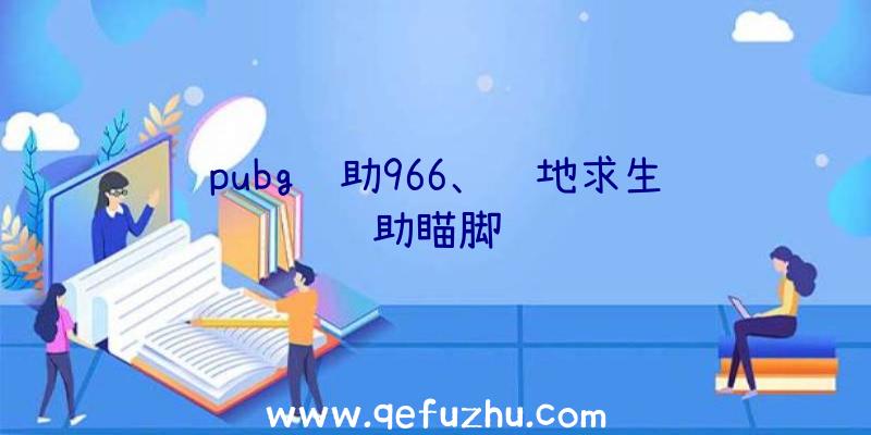 pubg辅助966、绝地求生辅助瞄脚