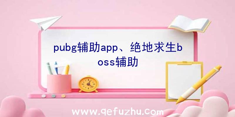 pubg辅助app、绝地求生boss辅助