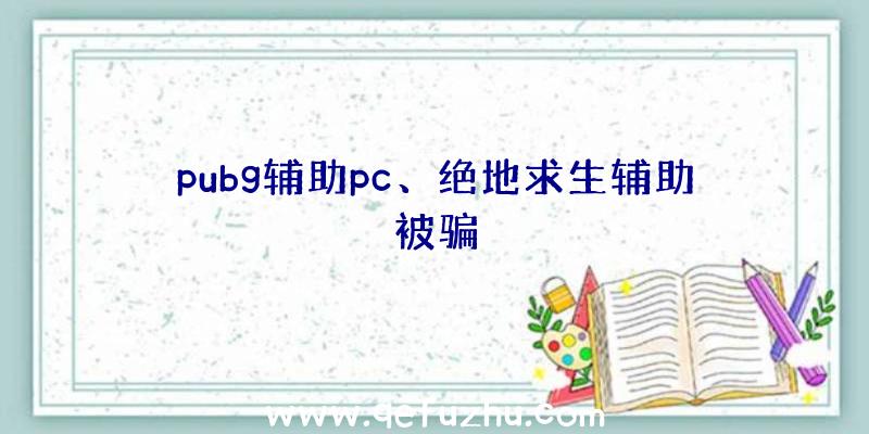 pubg辅助pc、绝地求生辅助被骗