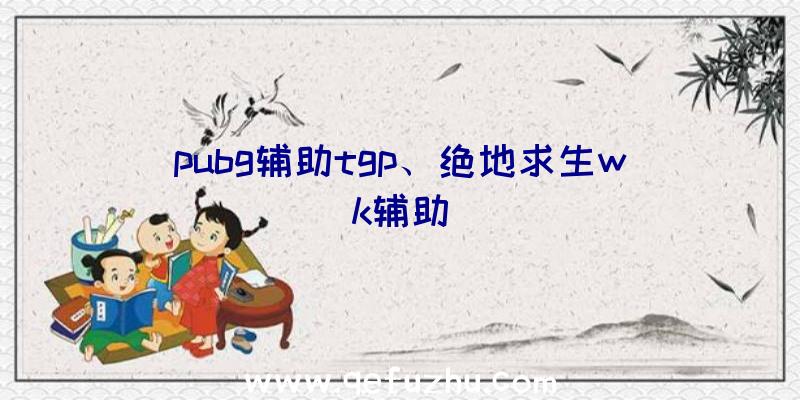 pubg辅助tgp、绝地求生wk辅助