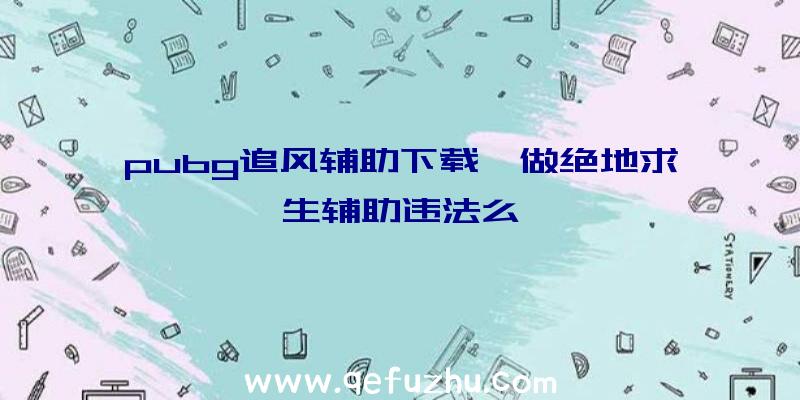 pubg追风辅助下载、做绝地求生辅助违法么