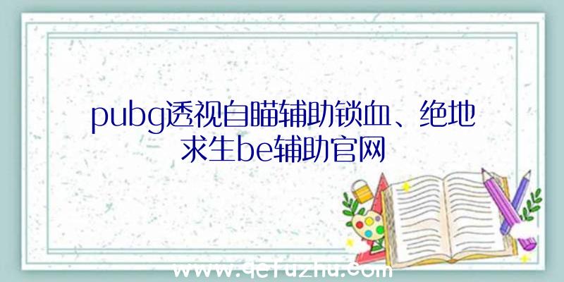 pubg透视自瞄辅助锁血、绝地求生be辅助官网