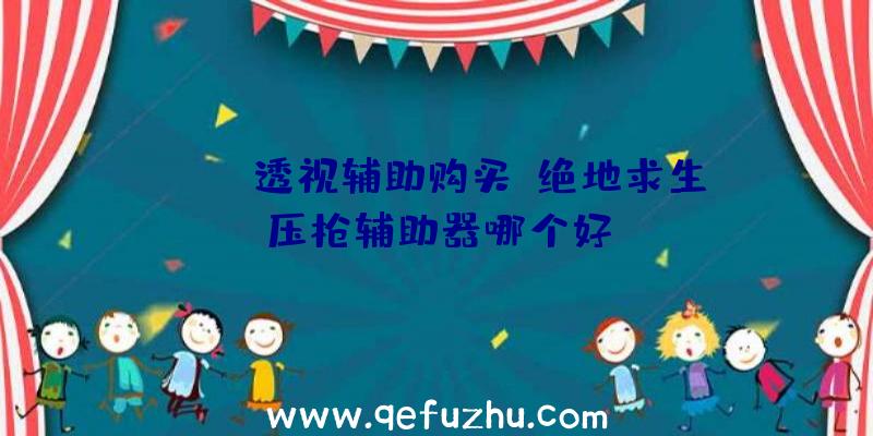 pubg透视辅助购买、绝地求生压枪辅助器哪个好