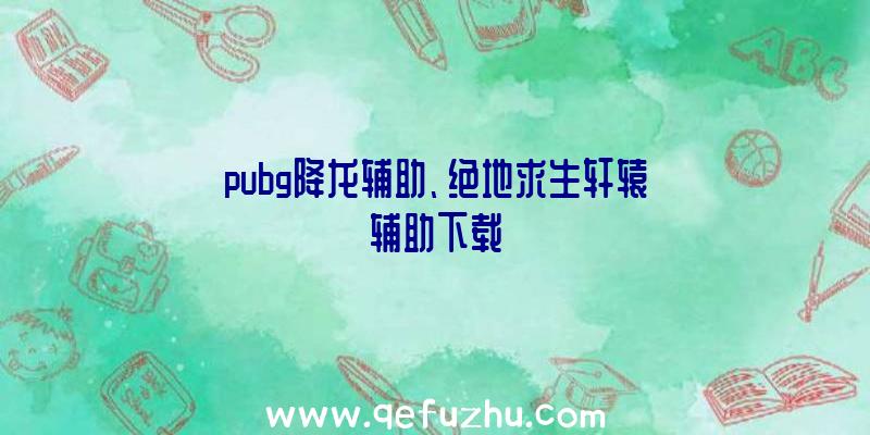 pubg降龙辅助、绝地求生轩辕辅助下载