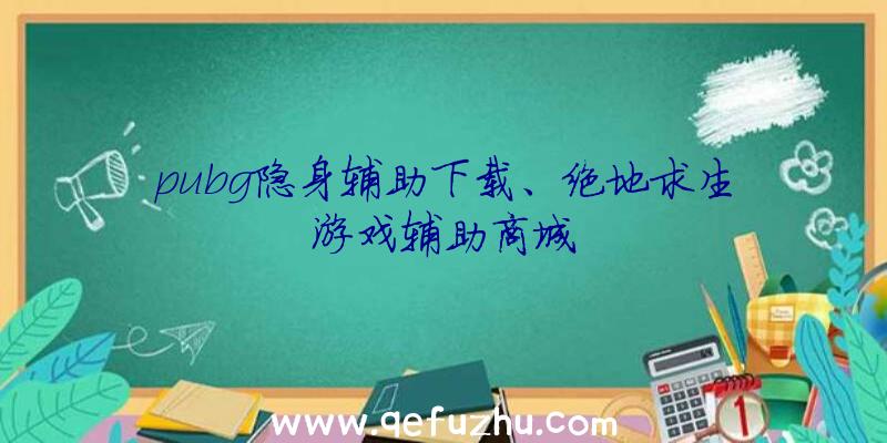 pubg隐身辅助下载、绝地求生游戏辅助商城