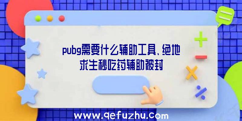 pubg需要什么辅助工具、绝地求生秒吃药辅助被封