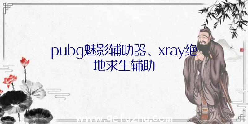 pubg魅影辅助器、xray绝地求生辅助