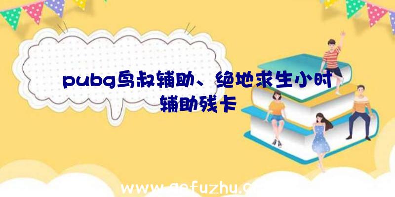 pubg鸟叔辅助、绝地求生小时辅助残卡