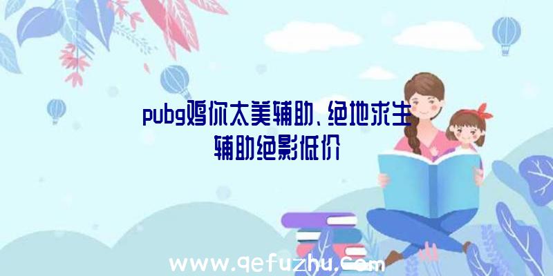 pubg鸡你太美辅助、绝地求生辅助绝影低价