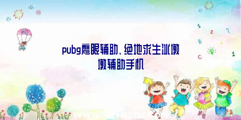 pubg鹰眼辅助、绝地求生冰墩墩辅助手机